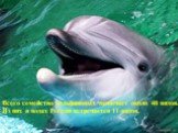 Всего семейство дельфиновых включает около 40 видов. Из них в водах России встречается 11 видов.
