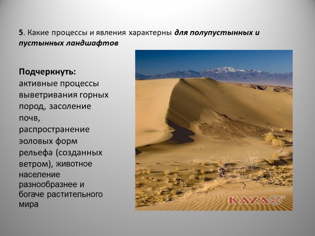 Географическое положение полупустыни в россии