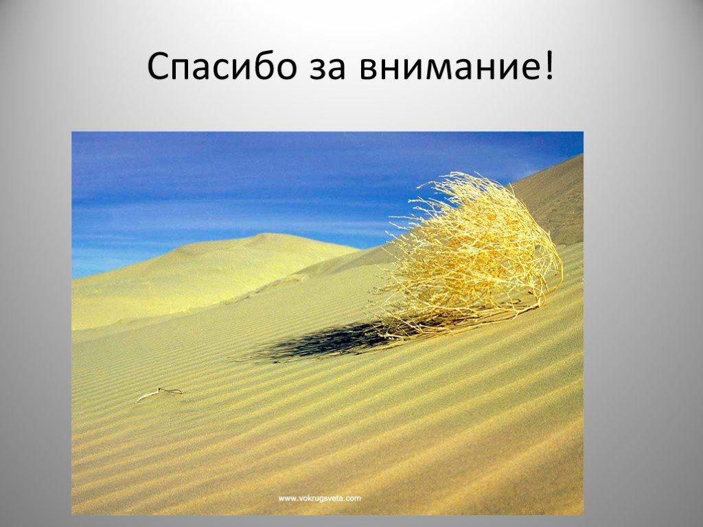 Дайте пустыне