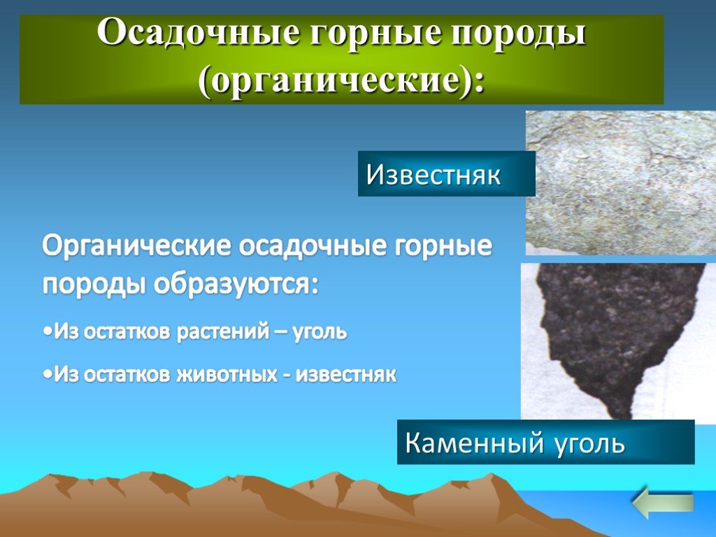 Происхождение каменных пород. География 6 класс осадочные горные , каменный уголь. Осадочные органические горные. Органические горные породы. Осадочные органические горные породы.