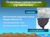 Осадочные горные породы (органические): Известняк Каменный уголь