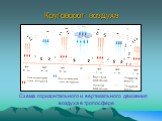 Круговорот воздуха. Схема горизонтального и вертикального движения воздуха в тропосфере