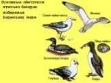 Основные обитатели птичьих базаров побережья Баренцева моря