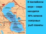 В Каспийском море – озере находится 80% запасов осетровых рыб планеты