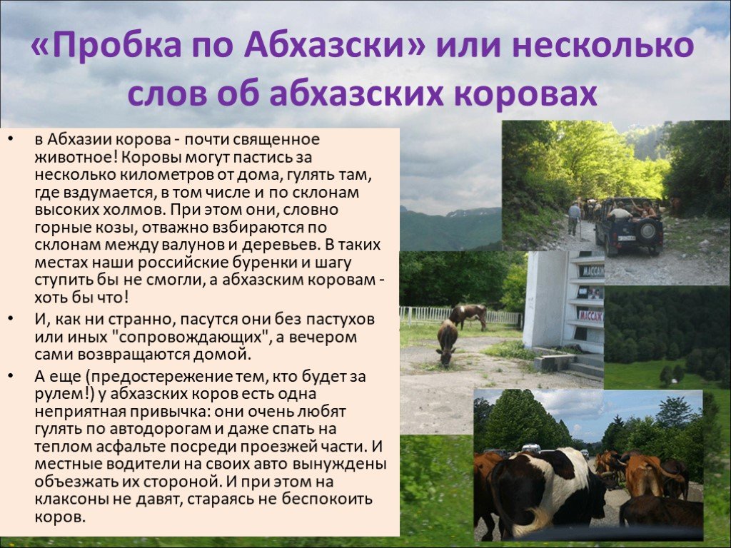 Абхазия соседи страны. Рассказ про Абхазию. Сообщение о стране Абхазия. Абхазия презентация. Абхазия доклад.