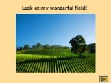 Look at my wonderful field!