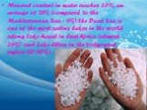 Mineral content in water reaches 33%, an average of 28% (compared to the Mediterranean Sea - 4%). The Dead Sea is one of the most saline lakes in the world along Lake Assal in East Africa (almost 35%) and Lake Elton in the Volgograd region (20-50%).