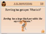J.K.ROWLING. Rowling has a large black pet rabbit. She says it is "vicious.". Rowling has got a pet. What is it?