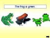 The frog is green.