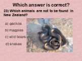 23) Which animals are not to be found in New Zealand? geckos b) magpies d) snakes c) wild boars