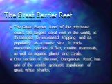 The Great Barrier Reef. The Great Barrier Reef off the northeast coast, the largest coral reef in the world, is threatened by increased shipping and its popularity as a tourist site. It holds numerous species of fish, marine mammals, as well as aquatic plants and corals. One section of the reef, Dan