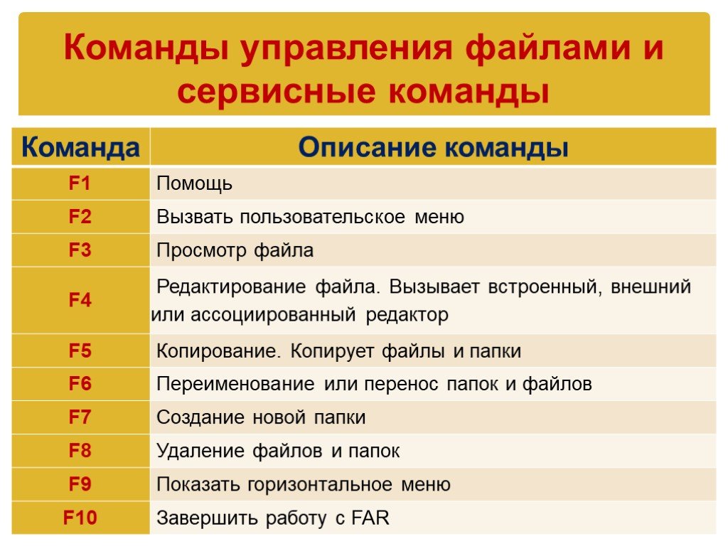 Презентация работа с файлами и каталогами