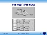 F18-ФДГ (F18-FDG)
