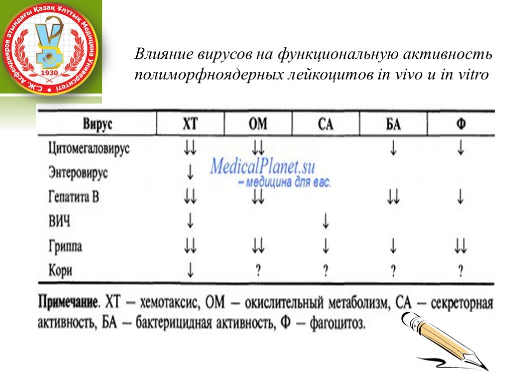 Уровни функциональной активности