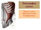 Топография мышц. Читает: к.м.н. Аристова Елена Серафимовна