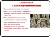 Особенности А.actinomycetemcomitans. Высокий адгезивный потенциал Выработка агрессивных ферментов инвазии: коллагеназа, протеаза, эластаза Способность вырабатывать лейкотоксин и цитотоксины Способность вырабатывать фактор подавления фибробластов и фактор индукции резорбции костной ткани