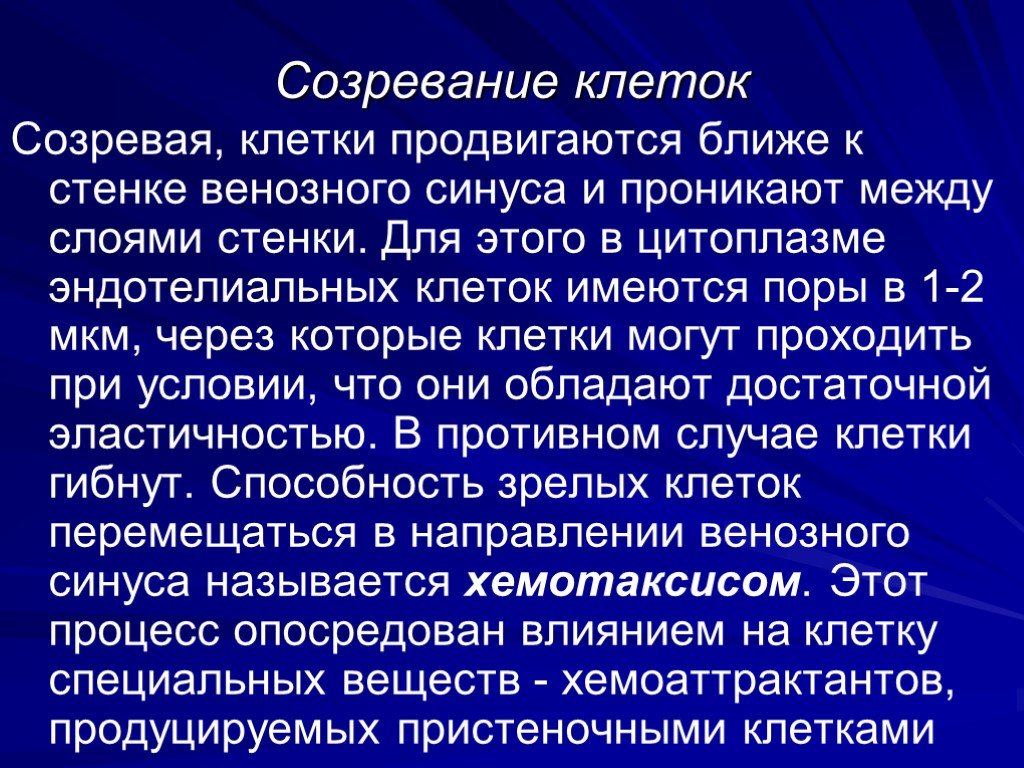 Созревание клетки. Созревающие клетки. Созревание клеток. Созревающие клетки крови это. Характеристика созревающей клетки.