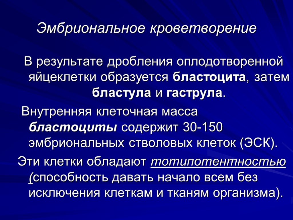 Результат дробления. Эмбриональный Тип кроветворения. Клетки обладают тотипотентностью. Внутренняя клеточная масса.