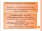 Факторы адгезии и колонизации Адгезины – специальные вещества, синтезируемые бактериальной клеткой (пили, фимбрии). Специфическая адгезия: Обратимая фаза: гидрофобное взаимодействие, электростатическое притяжение Необратимая фаза: связи типа замок-ключ между комплементарными молекулами