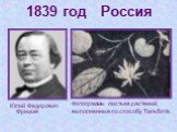 1839 год Россия. Юлий Федорович Фрицше. Фотограммы листьев растений, выполненные по способу Тальбота.