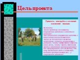 Цель проекта. Привлечь молодёжь к активной жизненной позиции. Выяснить: Какие проблемы возникают у современной молодежи и способы их решения? Как относится современная молодежь к общечеловеческим ценностям? Какие же личностные качества необходимы человеку в современных условиях, чтобы эффективно стр