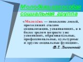 Молодёжь как особая социальная группа. «Молодёжь — поколение людей, проходящих стадию социализации, усваивающих, а в более зрелом возрасте уже усвоивших, образовательные, профессиональные, культурные и другие социальные функции». (В.Т. Лисовский)