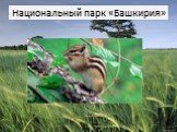 Национальный парк «Башкирия»