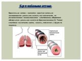 Бронхіальна астма— звичайне хронічне запальне захворювання дихальних шляхів, яке визначають за різноманітними поновлюваними симптомами, оборотною обструкцією дихальних шляхів та бронхоспазмом.[1] Типові симптоми включають хрипи, кашель, стиснення у грудях та задишку.
