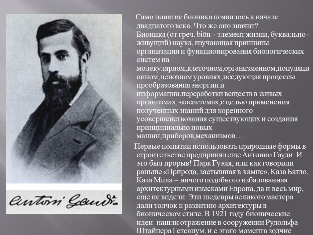 Само понятие. Бионика термин. Основоположник бионики. Кто является основоположником науки Бионика. Бионика начала 20 века.