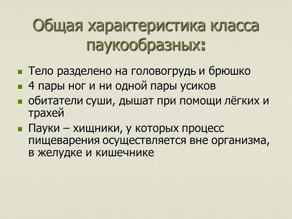 Паукообразные кратко. Класс пауки общая характеристика. Класс паукообразные общая характеристика. Характеристика паукообразных. Характеристика паука обазных.