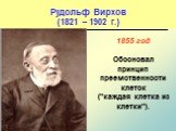 Рудольф Вирхов (1821 – 1902 г.). 1855 год Обосновал принцип преемственности клеток ("каждая клетка из клетки").