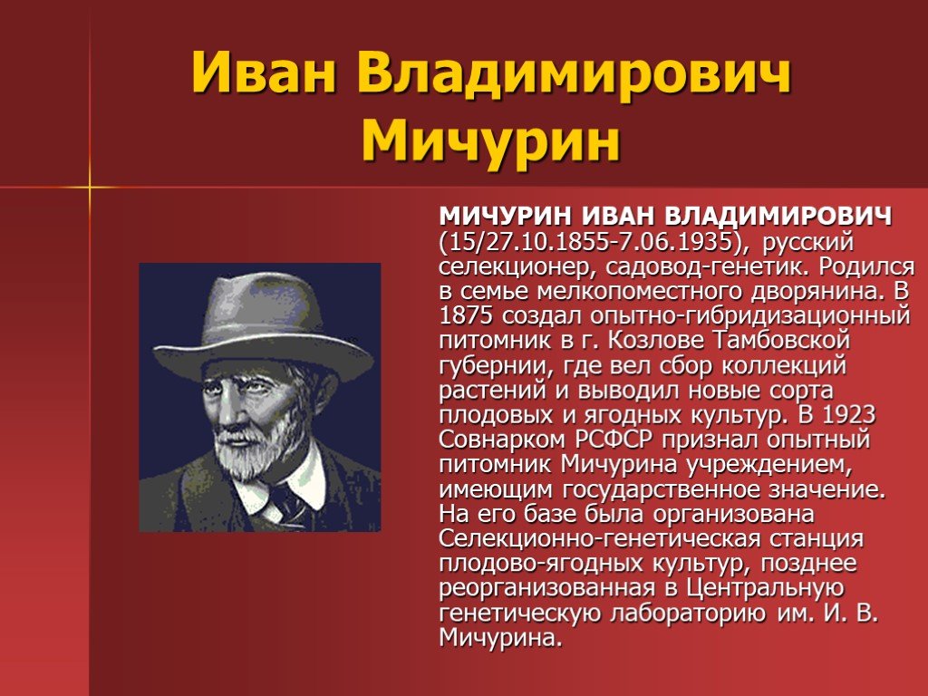 Успехи отечественной селекции презентация