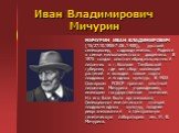 Иван Владимирович Мичурин. МИЧУРИН ИВАН ВЛАДИМИРОВИЧ (15/27.10.1855-7.06.1935), русский селекционер, садовод-генетик. Родился в семье мелкопоместного дворянина. В 1875 создал опытно-гибридизационный питомник в г. Козлове Тамбовской губернии, где вел сбор коллекций растений и выводил новые сорта плод