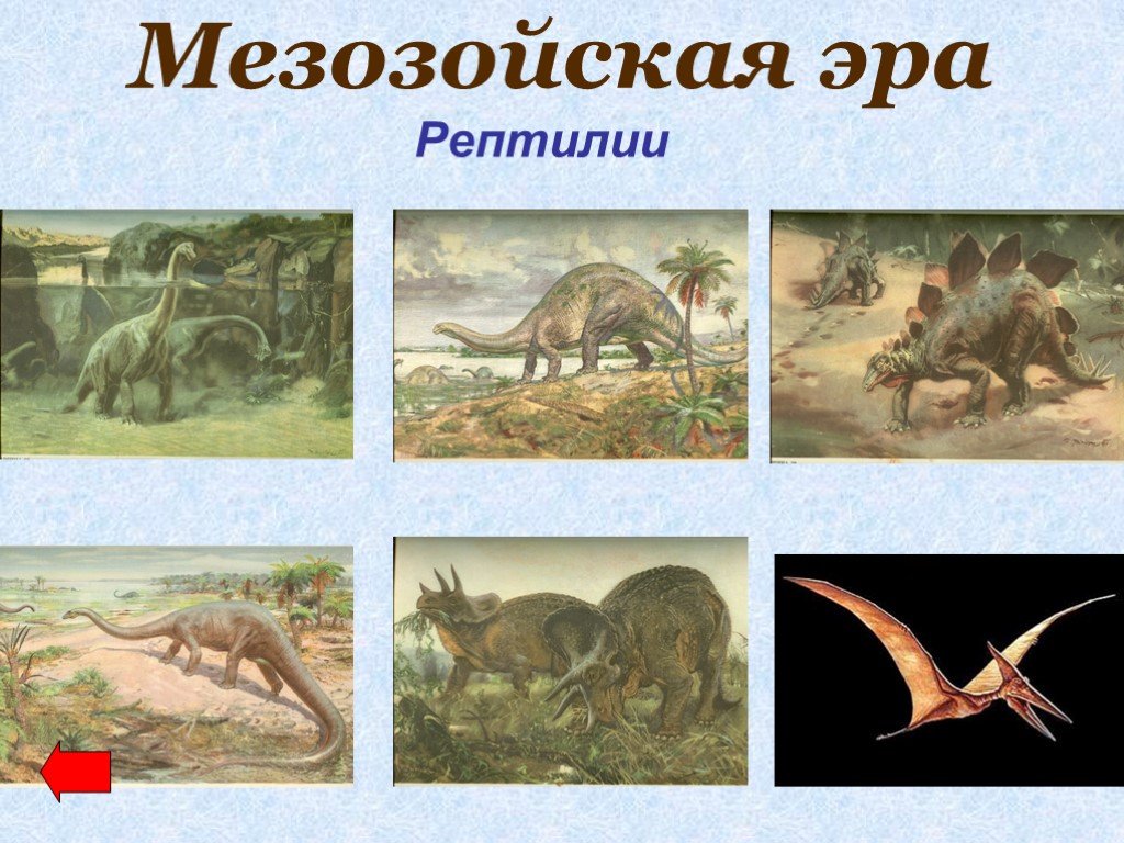 Пресмыкающиеся мезозойской эры. Пресмыкающиеся в мезозойскую эру. Рептилии мезозойской эры. Мезозой периоды. Мезозой это в биологии.