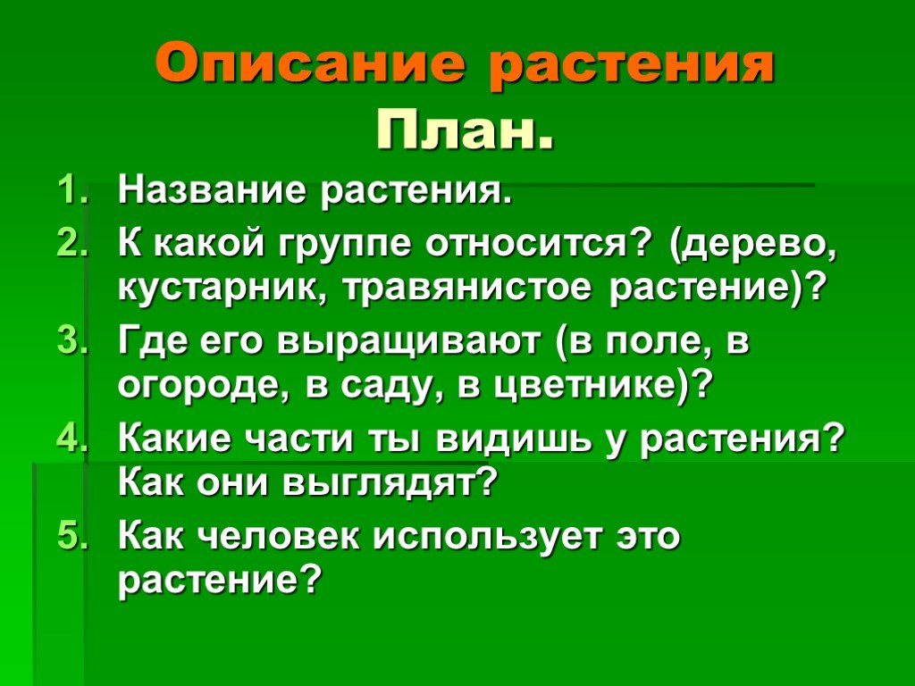 Описание растения план