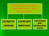 Растения человек выращивает для получения: продуктов питания. корма для животных. материала для промышлен-ности