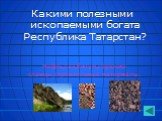 Какими полезными ископаемыми богата Республика Татарстан? Нефть,газ,битум,горючие сланцы,строительные материалы.
