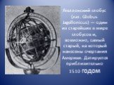 Ягеллонский глобус (лат. Globus Jagellonicus) — один из старейших в мире глобусов и, возможно, самый старый, на который нанесены очертания Америки. Датируется приблизительно 1510 годом