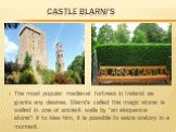 Castle Blarni's. The most popular medieval fortress in Ireland as grants any desires. Blarni's called the magic stone is walled in one of ancient walls by "an eloquence stone": if to kiss him, it is possible to seize oratory in a moment.