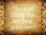 The End Thank you for your attention!
