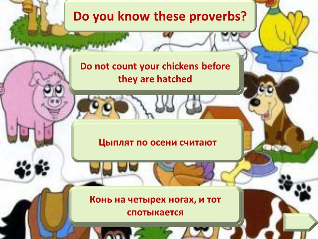 They know english well. Proverbs about animals. What domestic animals do you know? Ответ полным предложением. What do you know about Dogs? Решение задачи. A Wild animal проект.