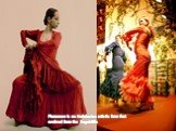 Flamenco is an Andalusian artistic form that evolved from the Seguidilla