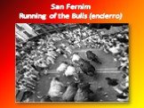 San Fernim Running of the Bulls (encierro)