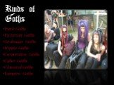 Kinds of Goths. Punk Goths Victorian Goths Androgyn Goths Hippie Goths Corporative Goths Cyber Goths Classical Goths Vampire Goths
