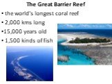 The Great Barrier Reef the world's longest coral reef 2,000 kms long 15,000 years old 1,500 kinds of fish