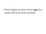 Their babies are born from eggs but drink milk from their mothers.