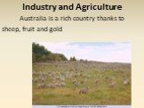 Industry and Agriculture Australia is a rich country thanks to sheep, fruit and gold