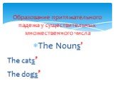 The Nouns’ The cats’ The dogs’. Образование притяжательного падежа у существительных множественного числа