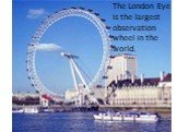 The London Eye is the largest observation wheel in the world.
