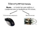 Манипулятор мышь. Мышь – устройство для работы с графическим интерфейсом Windows. Оптические(лазерные). Механические